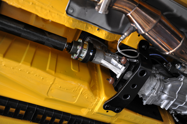 131204 kuma 2 DSC_7803.jpg